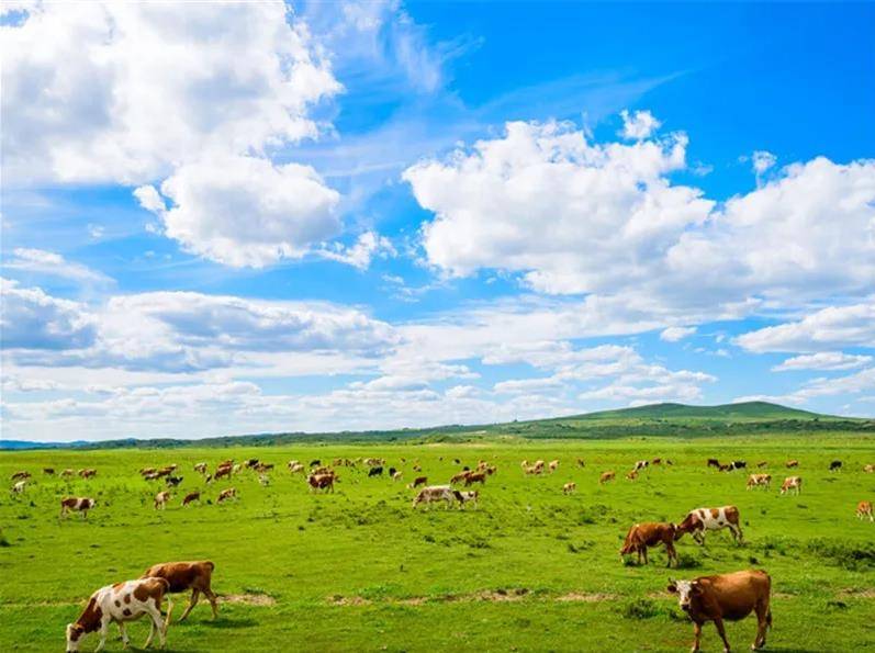 内蒙古，自然奇观与草原文化的交融圣地