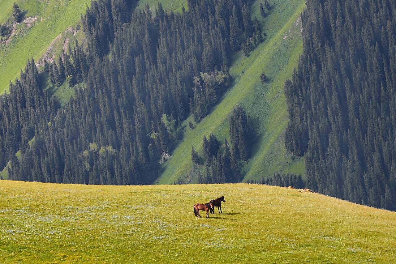 新疆，梦绕魂牵的家园